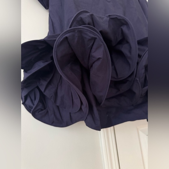 Anthropologie Maeve Short-Sleeve Collared 3D Ruffle Mini Dress, Size M - Picture 9 of 12